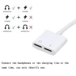 ONTEN iPhone Lighting Adapter (8)