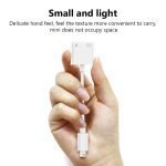 ONTEN iPhone Lighting Adapter