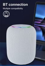 Kisonli Q15 Bluetooth Speaker