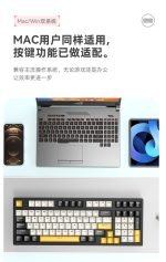 FOREV FV-K98 Gaming Keyboard