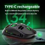 Forev FV-S220 Rechargeable Dual Mode Mouse
