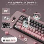 ATTACK SHARK X66 Wireless 60% Keyboard bb